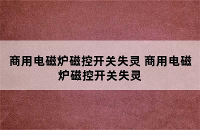 商用电磁炉磁控开关失灵 商用电磁炉磁控开关失灵